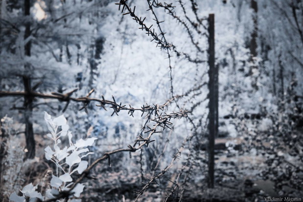Tak wygląda Czarnobyl po 30 latach od wybuchu
