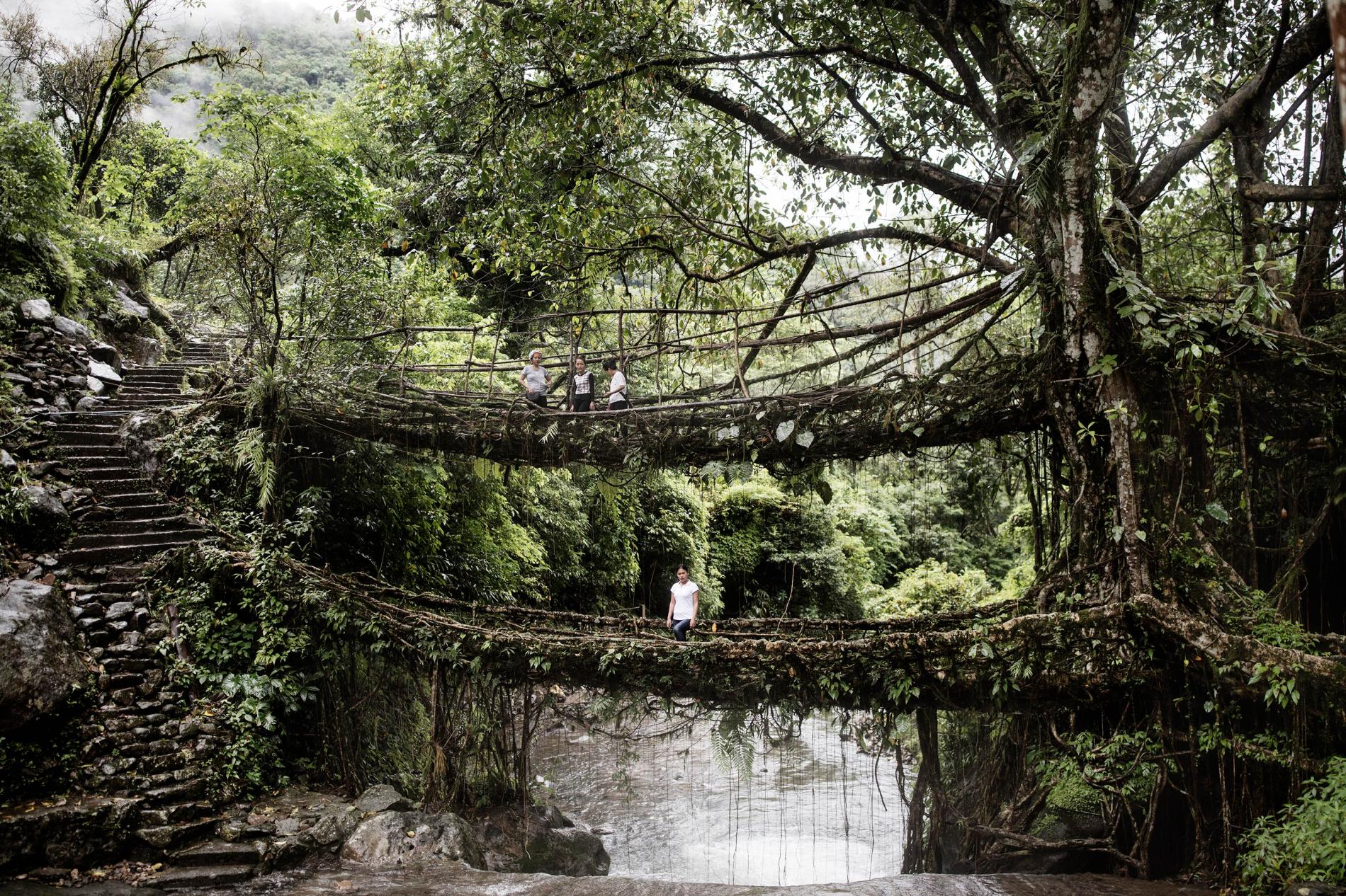 Widoki z Meghalayi