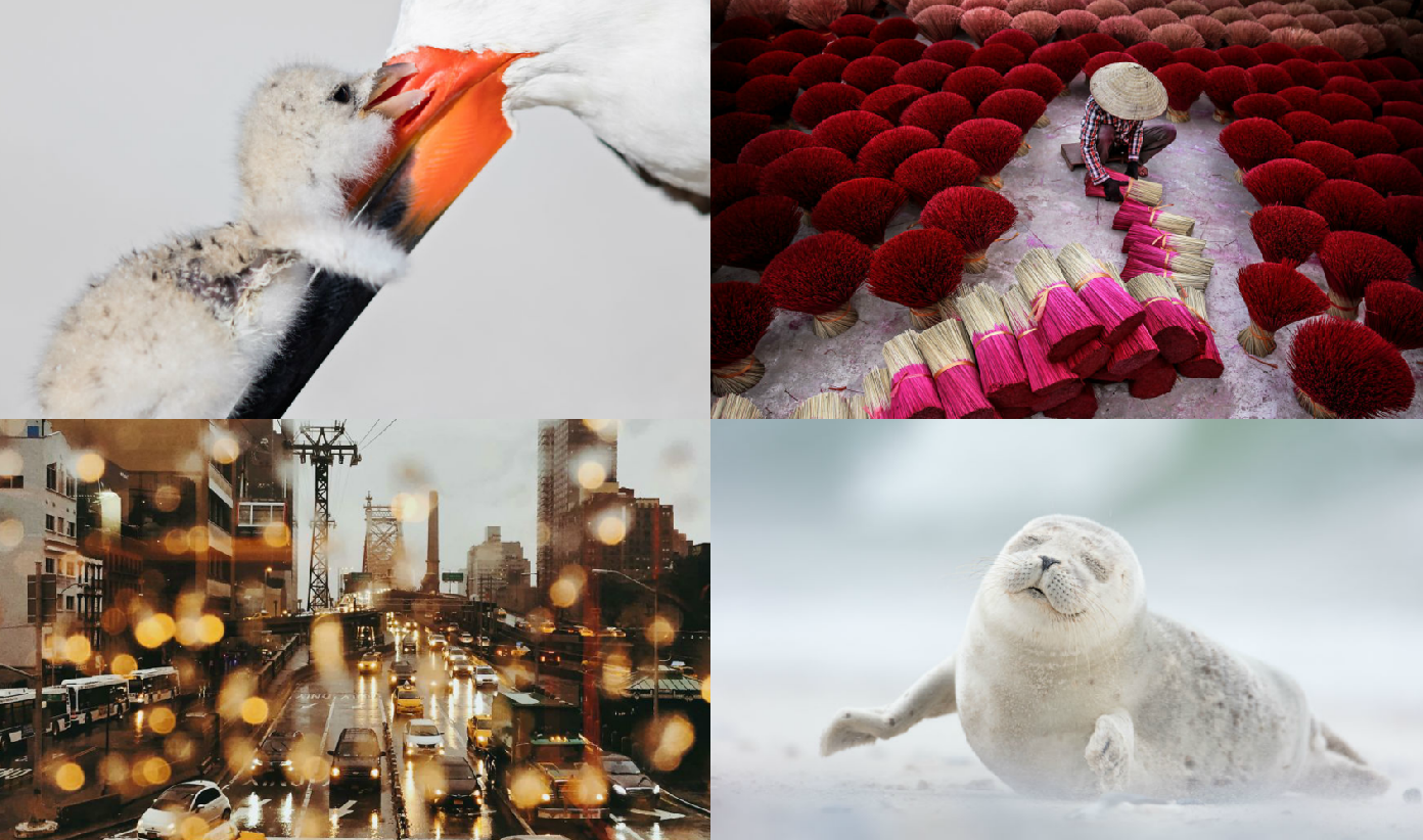 Zobacz zdjęcia finalistów Smithsonian Photo Contest 2017 >>>