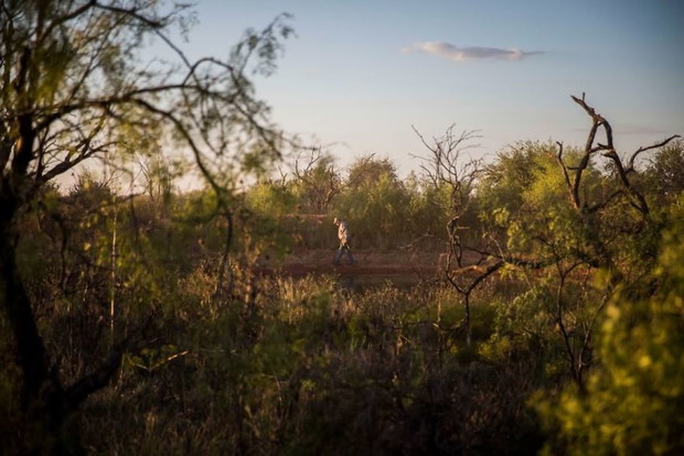 Hunting, The American Experience