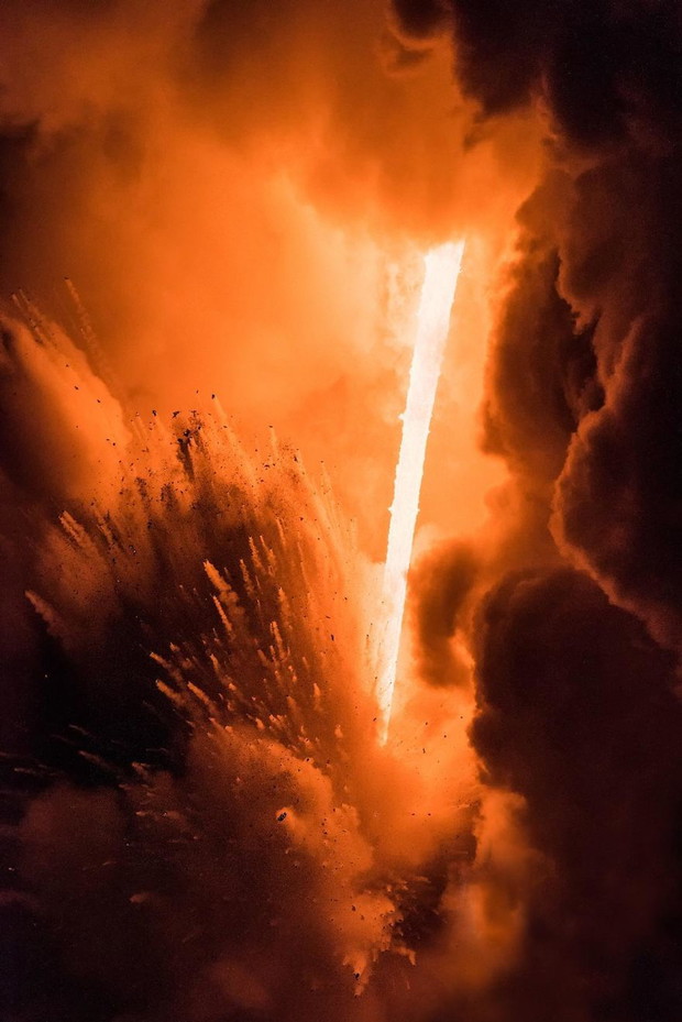 Ray Of Zeus, Natural World Finalist