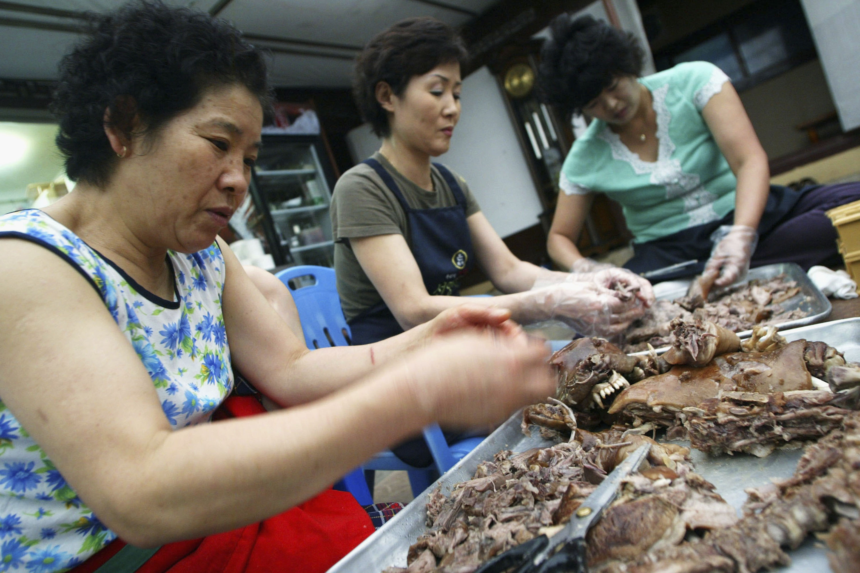 Restauracja przygotowująca potrawy z psiego mięsa - Korea Południowa