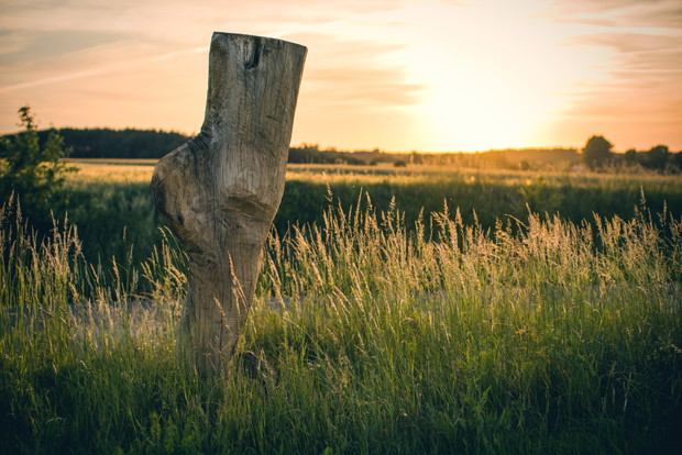 Land Art Festival