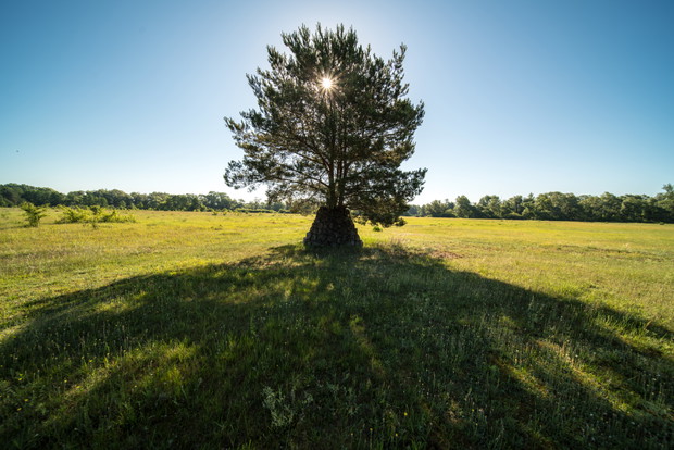 Land Art Festival