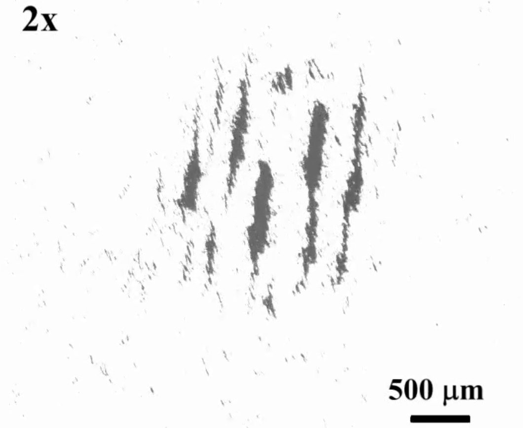 Nanoroboty