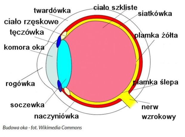 4d3a6a97450730377a895f7b39ddffcfd680c7c3-b4d95e8