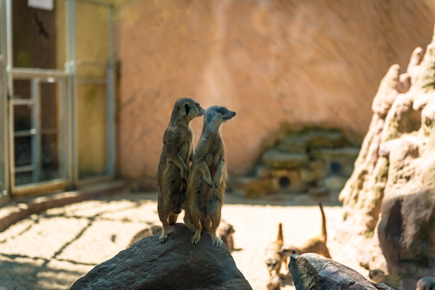 Miejski Ogród Zoologiczny w Płocku