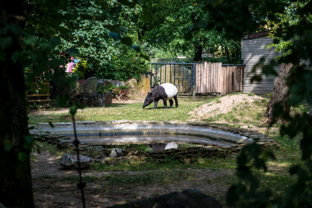 Miejski Ogród Zoologiczny w Płocku