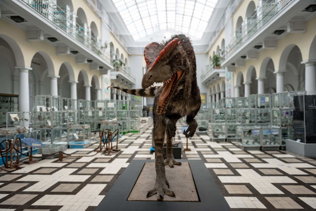 Muzeum Geologiczne Państwowego Instytutu Geologicznego