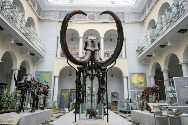 Muzeum Geologiczne Państwowego Instytutu Geologicznego
