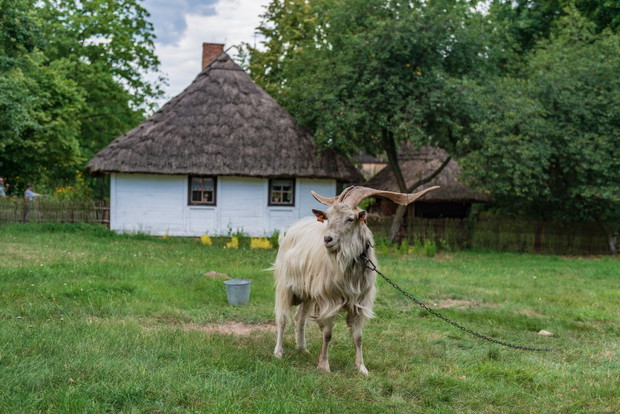 Muzeum Wsi Mazowieckiej w Sierpcu