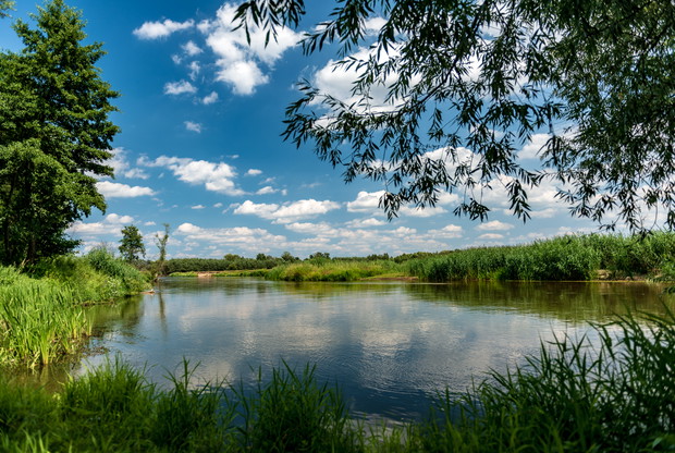 Park Krajobrazowy w Winiarach