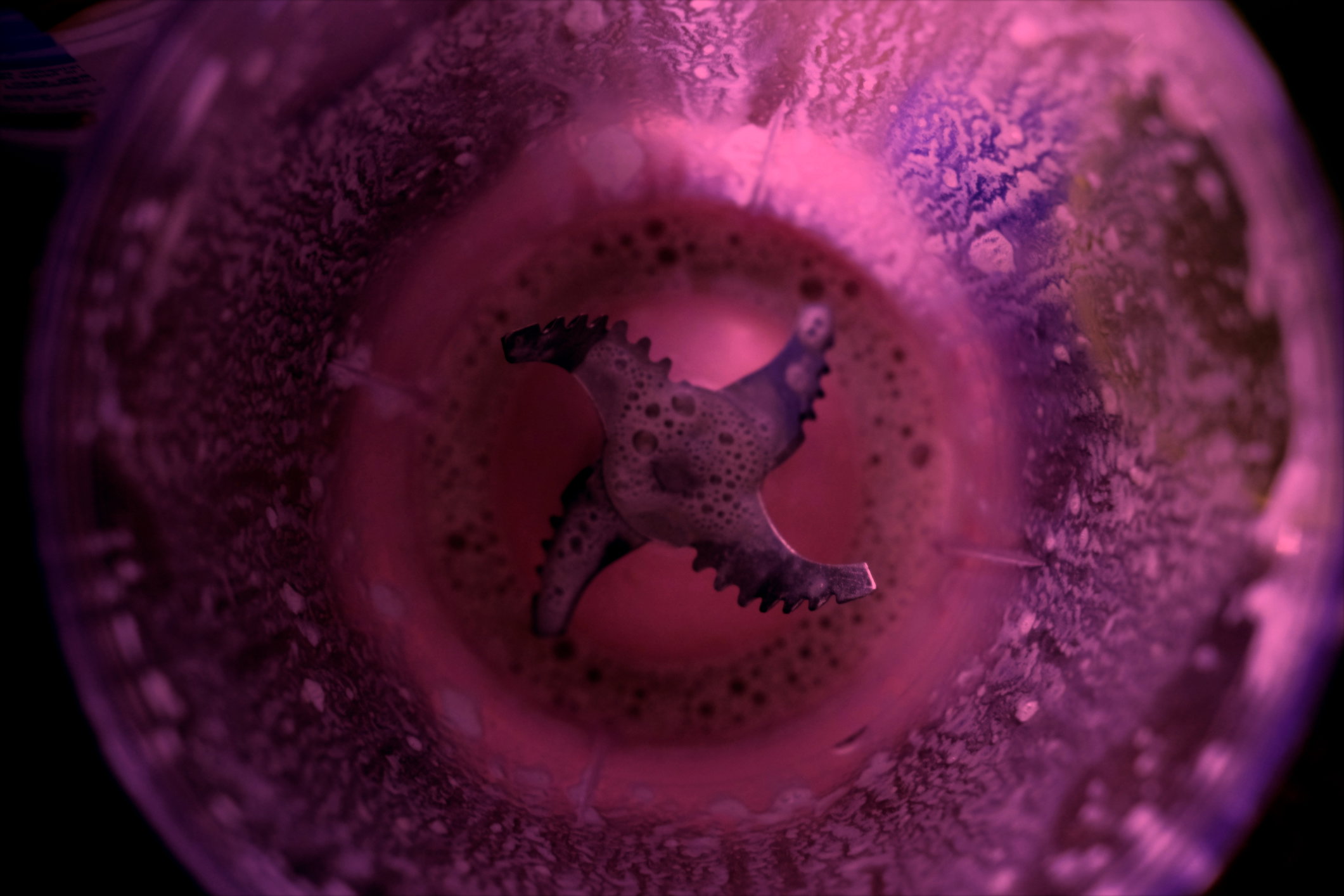 Blender