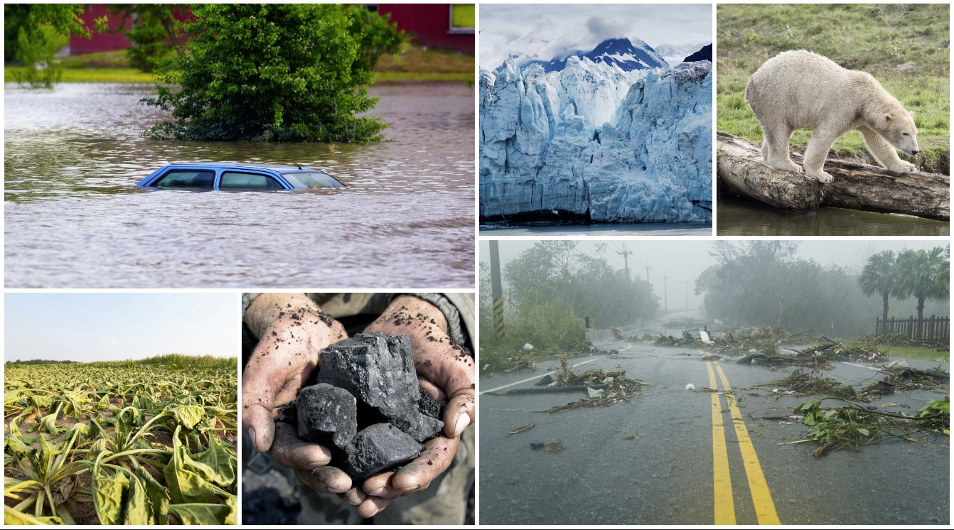 Ty też możesz zatrzymać katastrofę klimatyczną. Jak to zrobić?