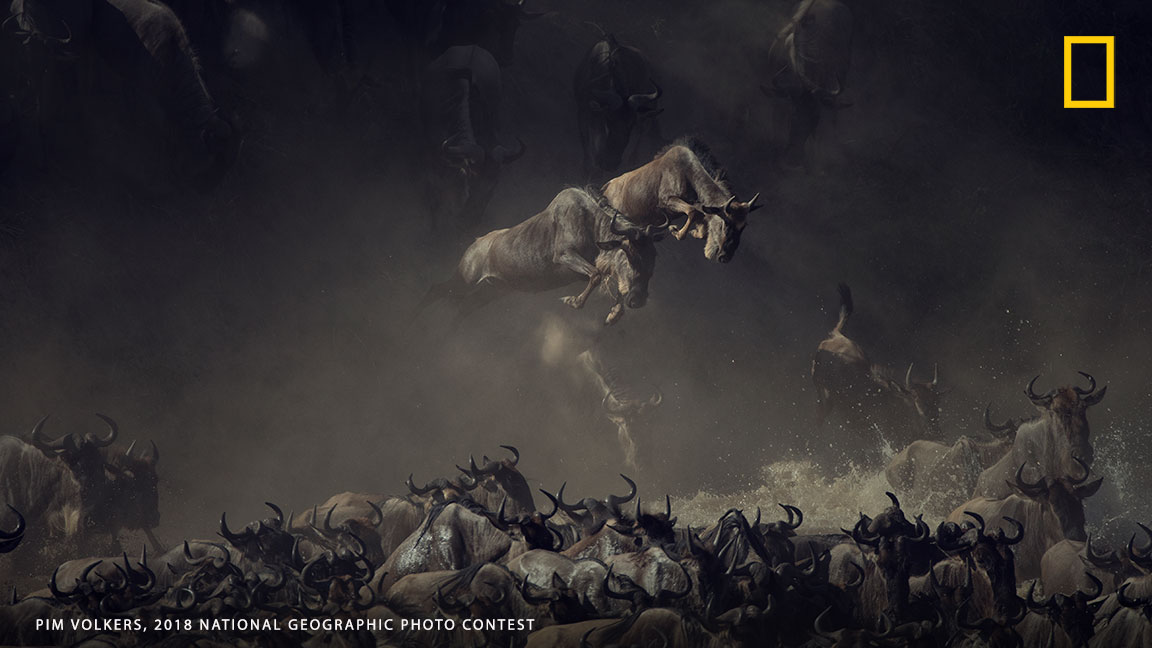 National Geographic Photo Contest 2018