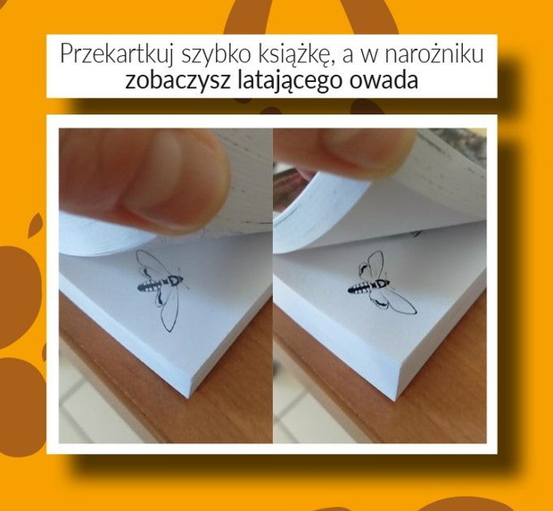 bf7330c1f4fc7e25a0cf1dcd2a0a6135cf2c5d07-b4ad798