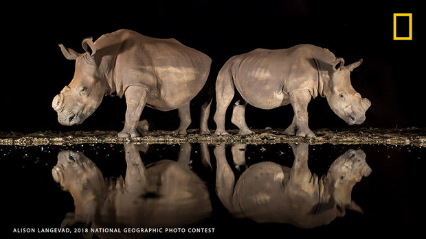 National Geographic Photo Contest 2018