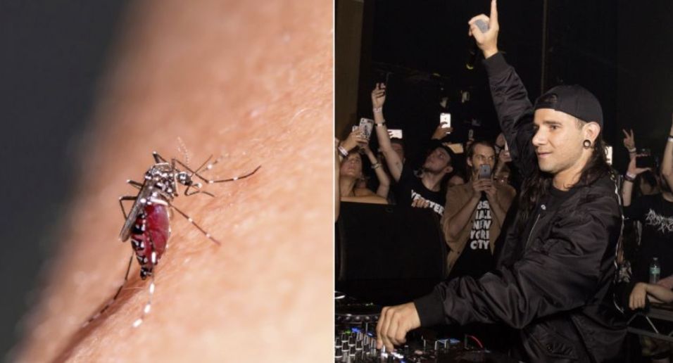 Skrillex na komary