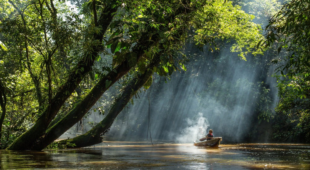 Ayahuasca