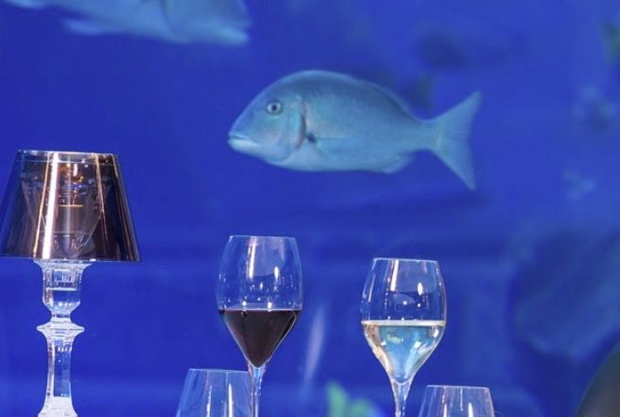 9f5ce1a9cbce4ae8ec8641981f79a2f760f831bd-72002a2