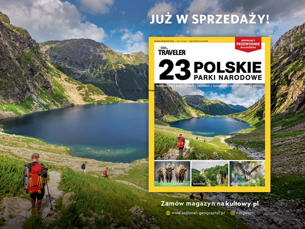 NGT Bookazine 2404 Promo 1200x900