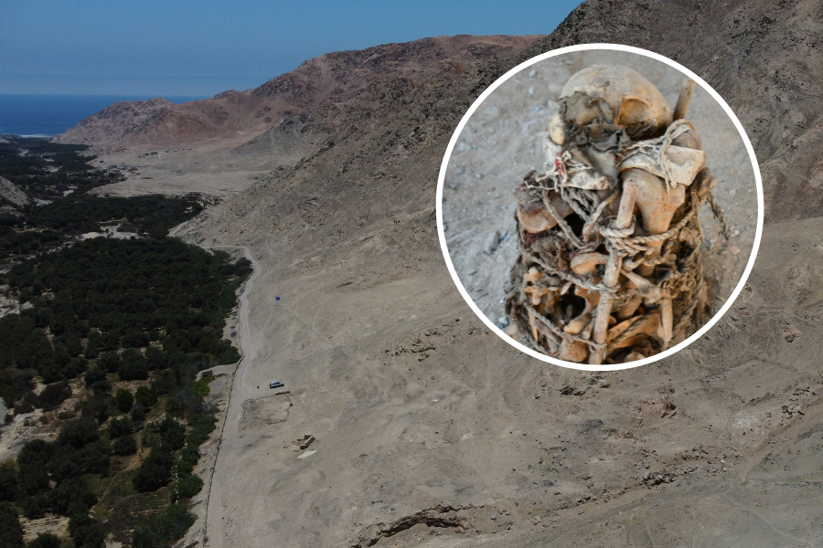 Polscy archeolodzy odkryli ślady brutalnego konfliktu. Wśród ofiar kobiety i dzieci