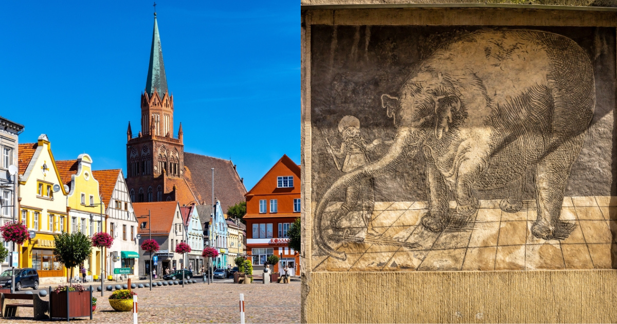 Trzebiatów