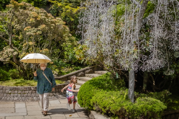Hakone Retreat