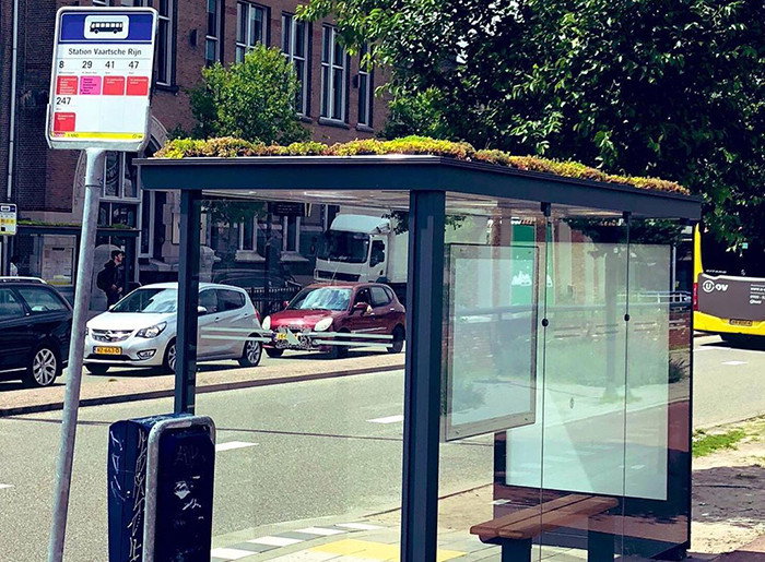 Przystanki autobusowe zmieniły się w przystanki dla pszczół (fot. Instagram)