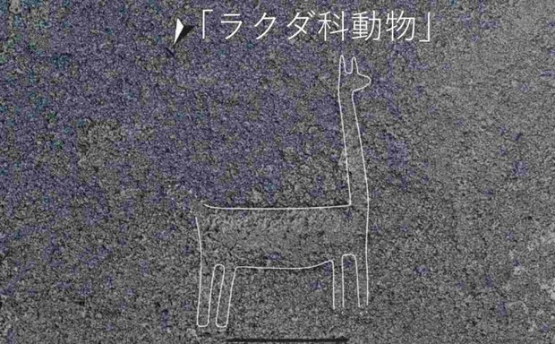 b95dd94485da06b162ab923fb35e23ca90f7d50e-72b8d83