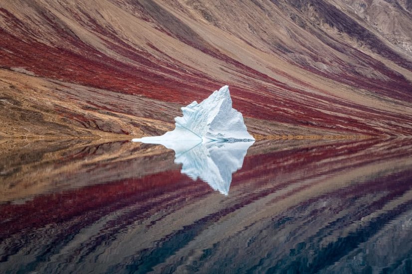Nie zostawią cię obojętnym. Zobacz zwycięskie zdjęcia Sony World Photography Awards 2020