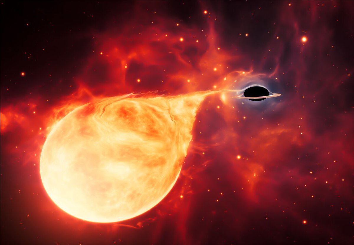 Czarna dziura połyka gwiazdę fot. ESA/Hubble, M. Kornmesser