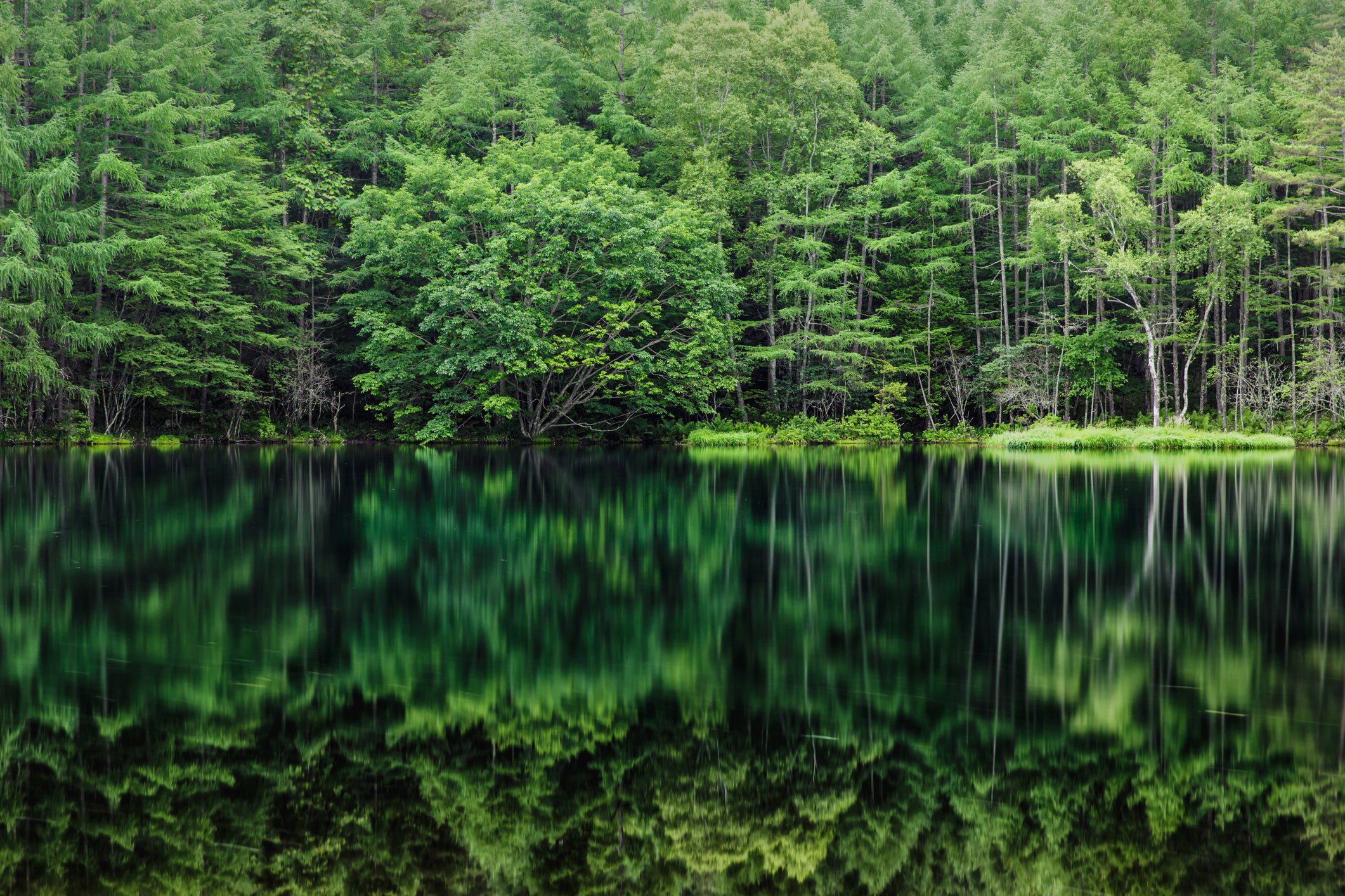 Matka Natura