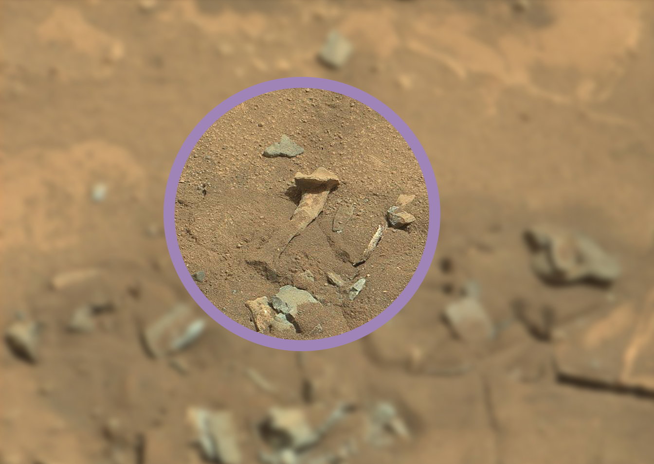 Ludzka kość na Marsie? fot. NASA/JPL-Caltech/MSSS, edycja Jan Sochaczewski