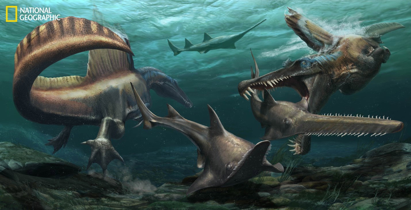 Dwa Spinozaury polują na prehistoryczne ryby piaskowe Onchopristis w wodach systemu rzecznego pokrywającego tereny obecnego Maroku około 97 milionów lat temu. Odkryte skamieliny ogona dinozaura pokazują, że dobrze nadawał się do pływania – co wzmacnia prz