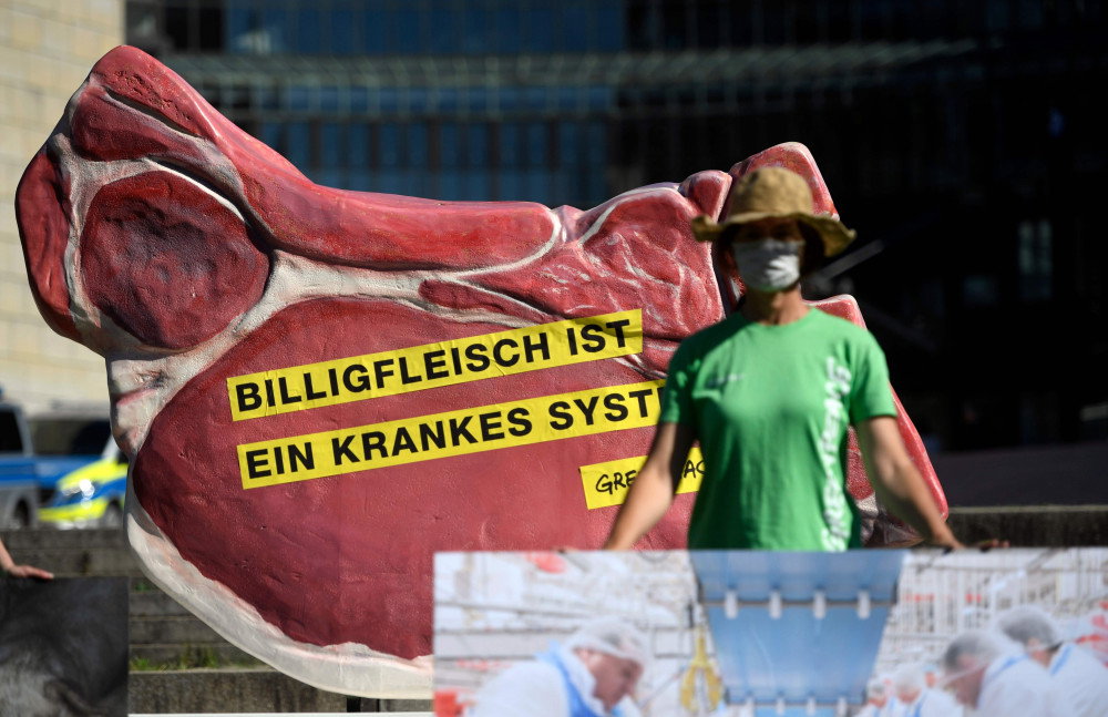 Działacze Greenpeace demonstrują przed parlamentem stanowym w Duesseldorfie  24 czerwca 2020 r., gdzue mają odbyć się obrady poświęcone nowemu ognisku koronawirusa w zakładach przetwórstwa mięsa w Toennies. fot. INA FASSBENDER/AFP/East News
