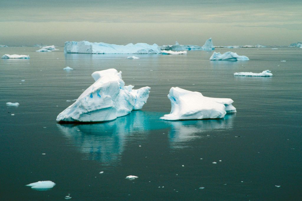 Antarktyda fot. Getty Images