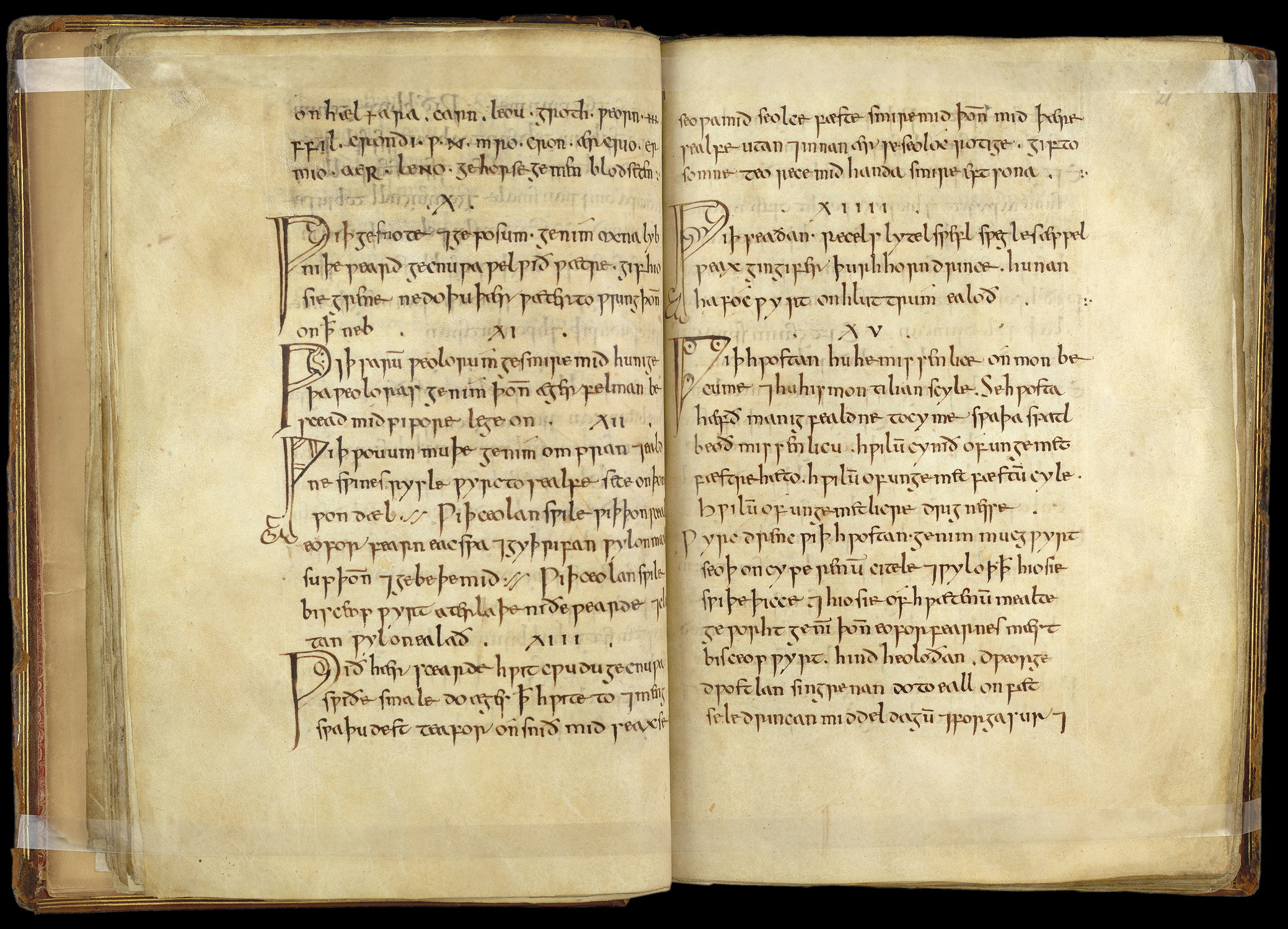 Cyfrową wersję Medicinale Anglicum można znaleźć na stronach British Library (fot. The British Library Board (Royal 12 D xvii))