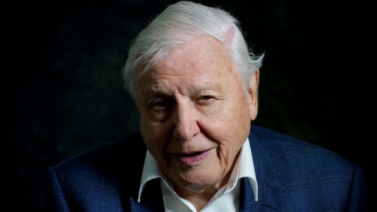 David Attenborough i zachęca do przejścia na wegetarianizm, żeby ocalić planetę (fot. za YouTube/WWF UK)