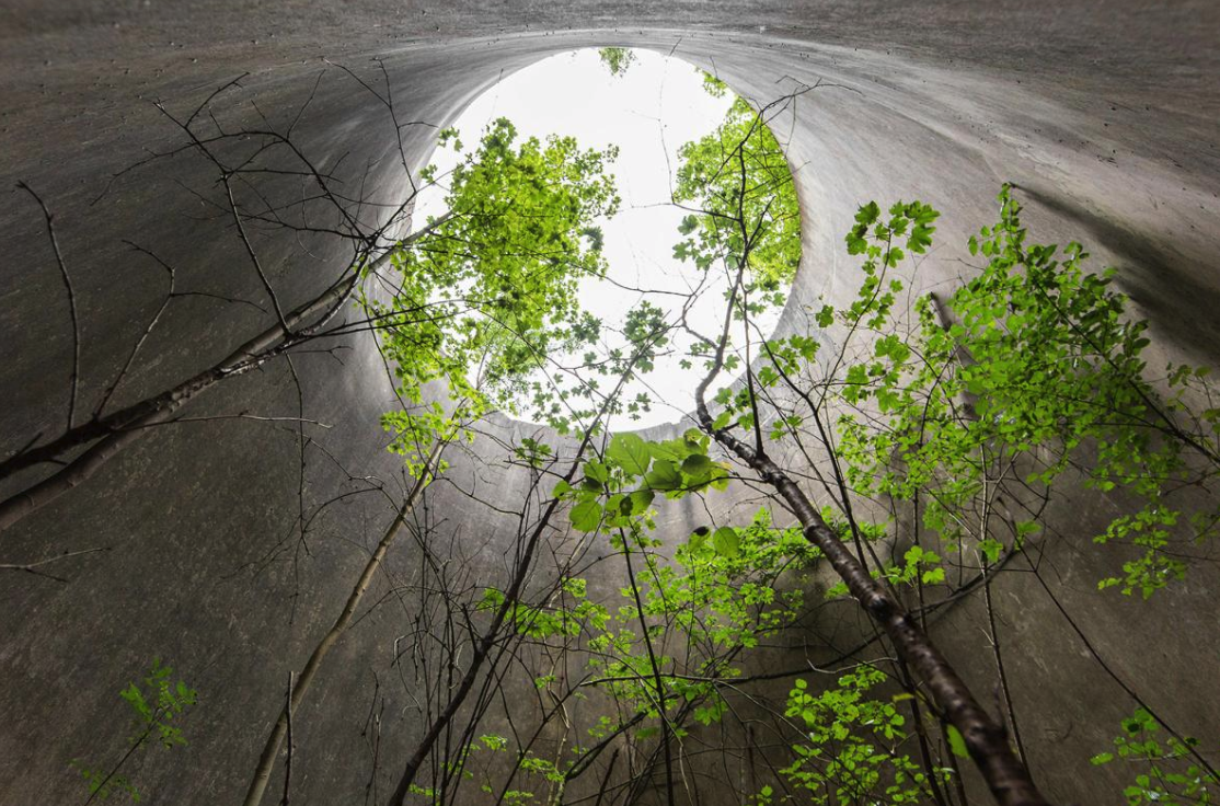 Naturalia: Reclaimed by Nature