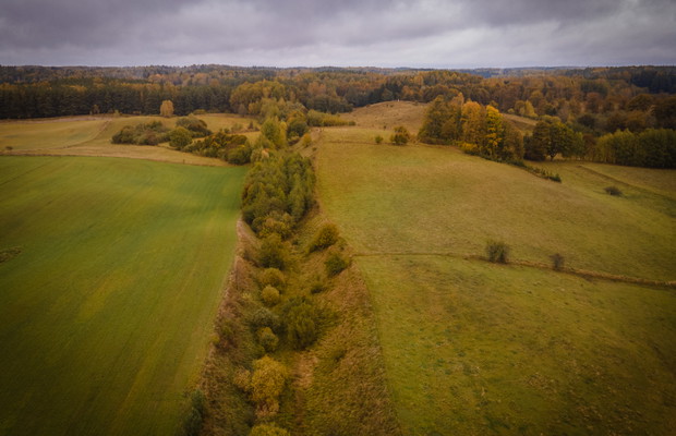 Mazury