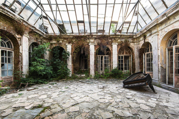 Naturalia: Reclaimed by Nature