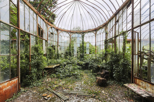 Naturalia: Reclaimed by Nature