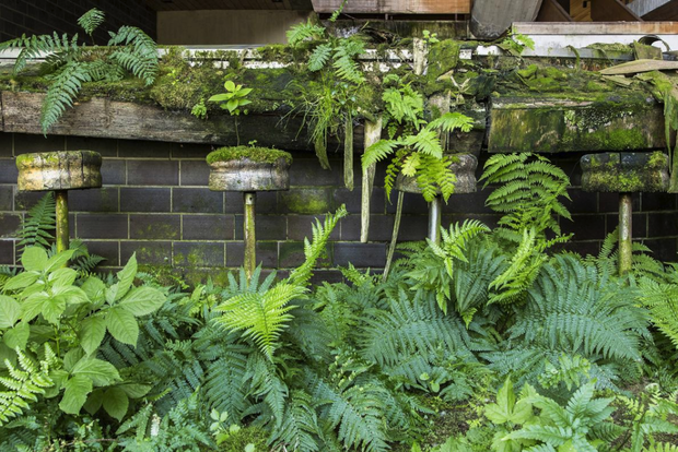 Naturalia: Reclaimed by Nature