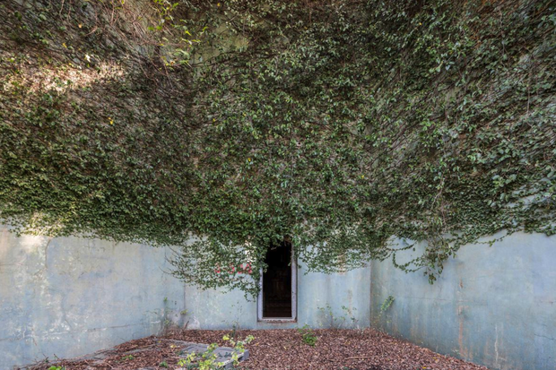 Naturalia: Reclaimed by Nature