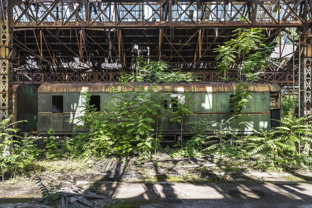 Naturalia: Reclaimed by Nature