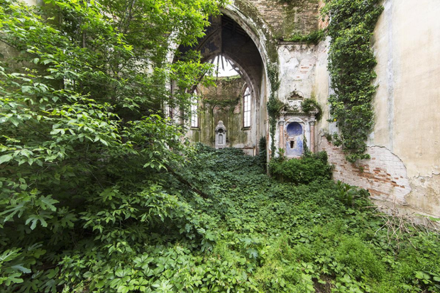 Naturalia: Reclaimed by Nature