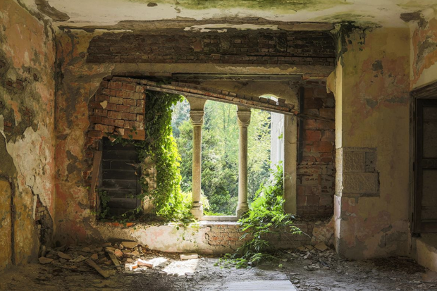 Naturalia: Reclaimed by Nature
