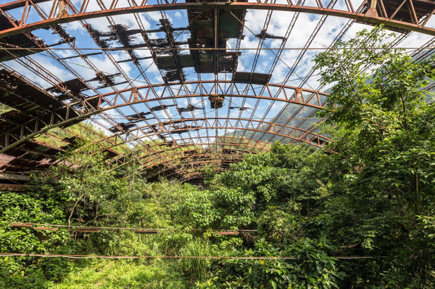 Naturalia: Reclaimed by Nature