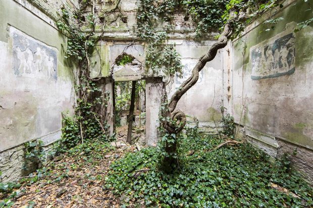 Naturalia: Reclaimed by Nature